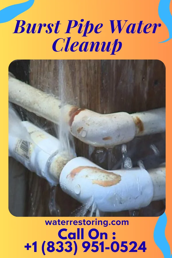 Burst Pipe Water Cleanup in North Tonawanda, NY