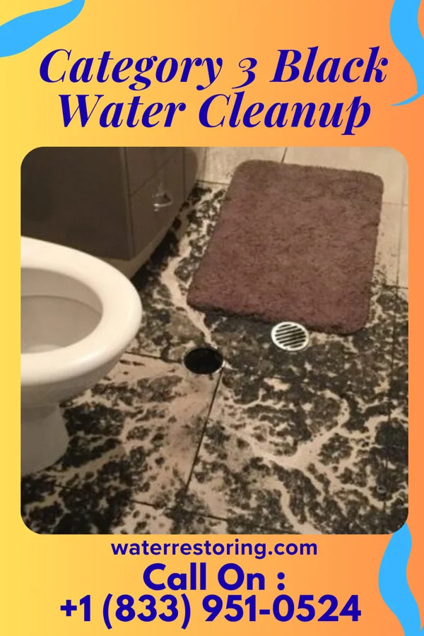 Category 3 Black Water Cleanup in North Tonawanda, NY