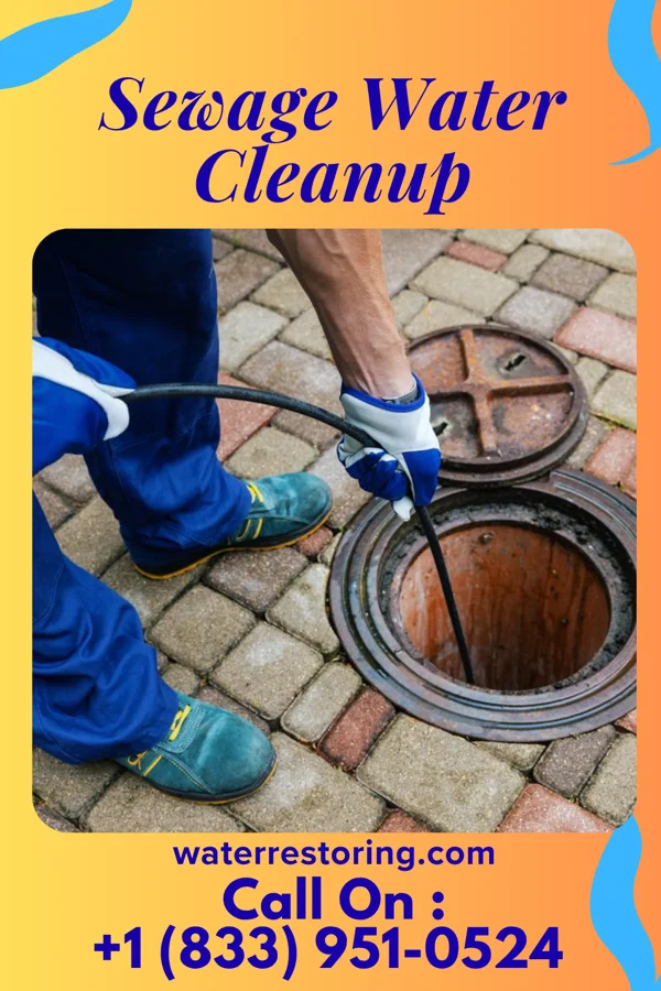 Sewage Water Cleanup in North Tonawanda, NY