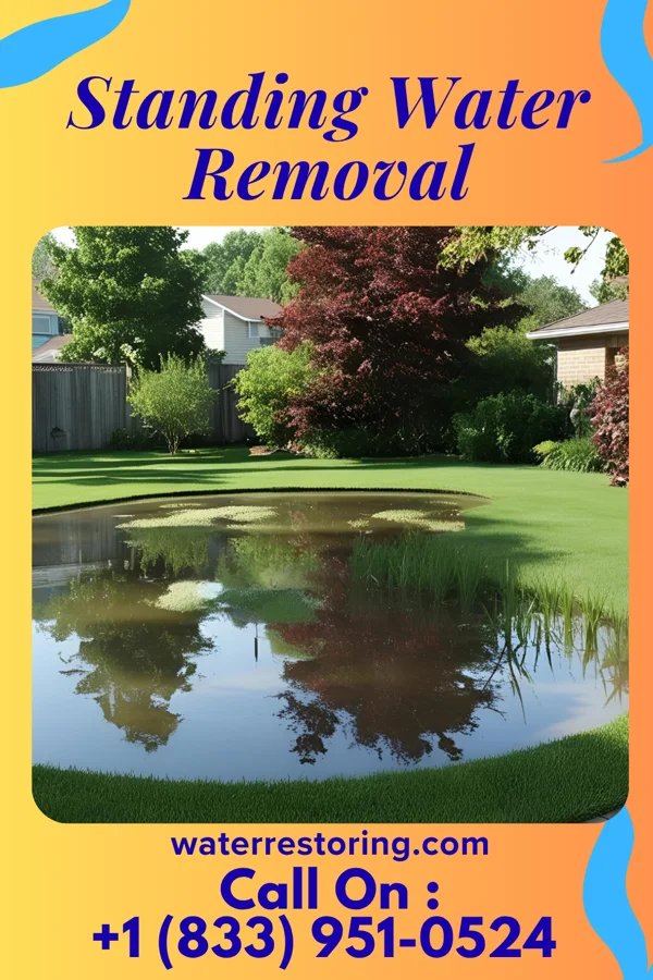 Standing Water Removal in North Tonawanda, NY